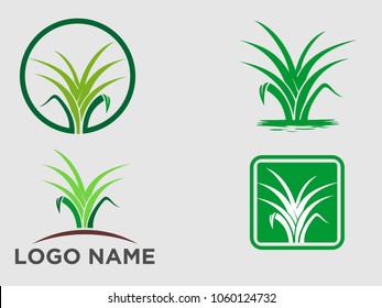 Tree logo set, green nature logo set, Vector logo template