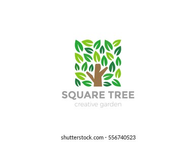 Tree Logo square shape design vector template.
Organic Natural Plant Garden Park Logotype concept icon