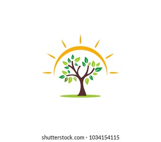 Tree logo sun 