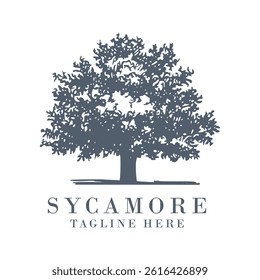 Tree Logo Sycamore  Design Template