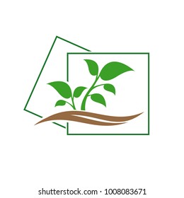 Tree logo template. Abstract young green tree.