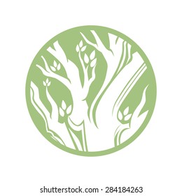 Tree logo template. 
Beautiful tree card or background. 
Vector illustration.