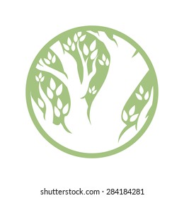 Tree logo template. 
Beautiful tree card or background. 
Vector illustration.
