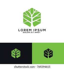 Tree, Tree Logo Template Download