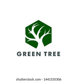 tree logo template. green forest icon vector illustration