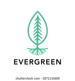 Tree logo template isolated on white background