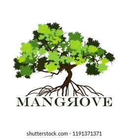 tree logo template, with mangrove tree and roots, vector illustration