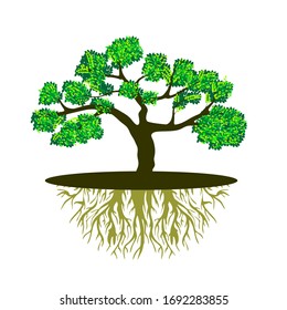 tree logo template, with mangrove tree and roots, vector illustration