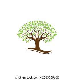 Tree Logo template vector icon design