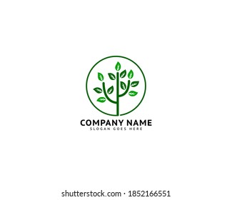 Tree Logo Template Vector Icon Illustration Design