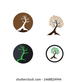 Tree logo template vector illustration