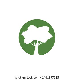 Tree logo template vector illustration