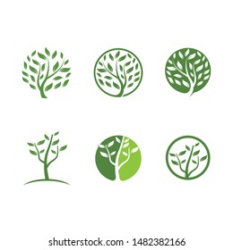 Tree logo template vector illustration