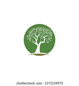 Tree logo template vector illustration