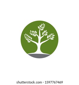 Tree logo template vector illustration