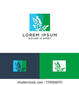 Tree logo template vector Illustration