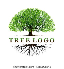 tree logo templates with circular shape, and name of the logo in the middle