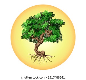tree logo templates with circular shape, tree and the moon vector.