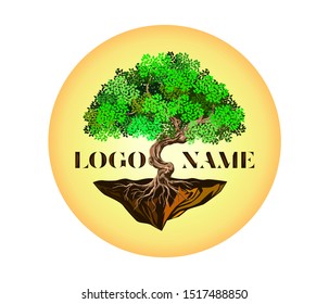 tree logo templates with circular shape, tree and the moon vector.