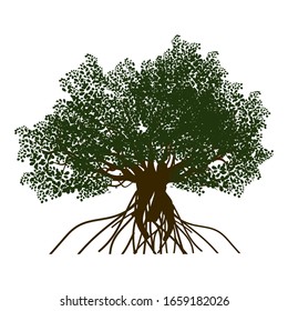 plantilla de logotipo de árbol.Ilustración vectorial de un árbol frondoso. raíces de árbol banyan. plantas de manglar. conjunto de ramas con fondo blanco