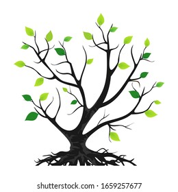 tree logo template.Vector illustration of a leafy tree. banyan tree roots. mangrove plants.