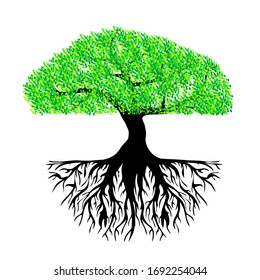 modèle de logo d'arbre.Illustration vectorielle d'un arbre feuillu. racines d'arbre banian. des palétuviers.