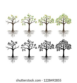 Tree logo vector