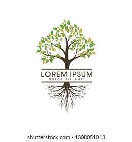 Tree logo vector - Vector
