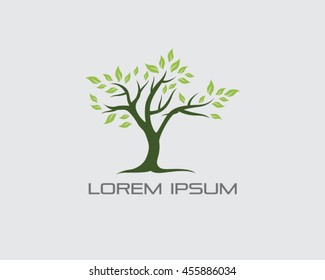 Tree Logo Vector