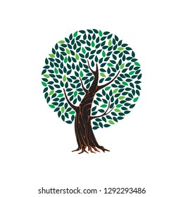 tree logo vector with circle shape, with dark green leaves