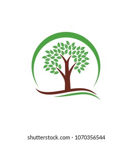 Tree Logo Vector Design