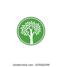 Tree Logo Vector Design