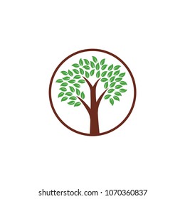 Tree Logo Vector Design with Circle Line
