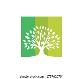tree logo or vector or design concept.
