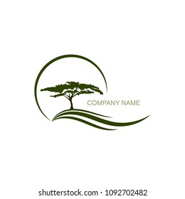 Tree logo vector design element for company