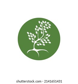Tree logo vector icon illustration design template