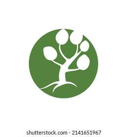 Tree logo vector icon illustration design template