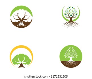 Tree logo vector illustration