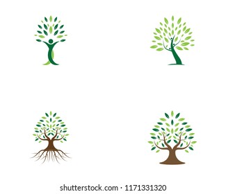 Tree logo vector illustration
