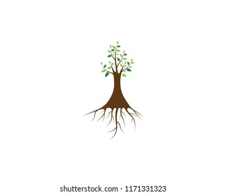 Tree logo vector illustration