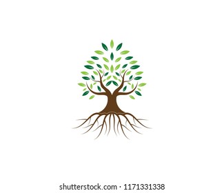 Tree logo vector illustration