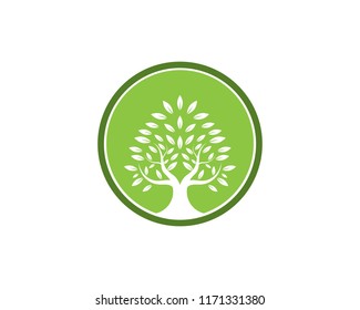 Tree logo vector illustration