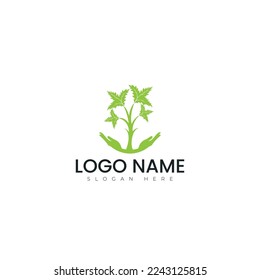 Tree logo vector illustration design