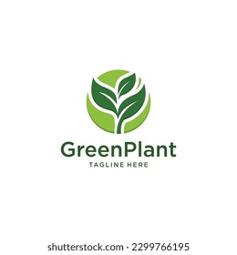 Tree logo vector illustration design 