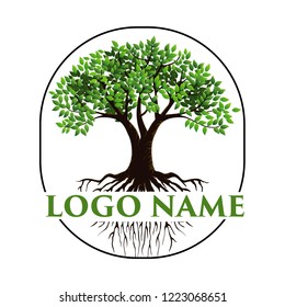 tree logo, vector isolated of tree and roots, logo templates