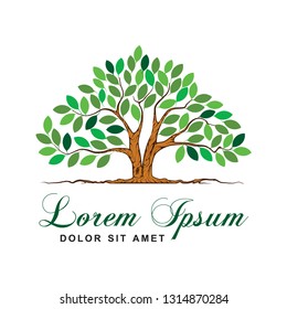 tree logo, vector isolated of tree and roots, logo templates