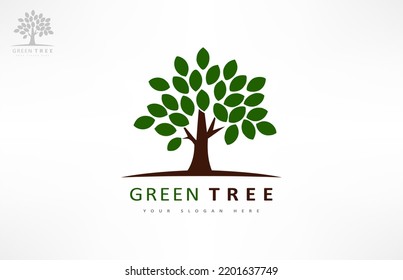 Tree logo vector. Plant Logo design vector nature illustration.