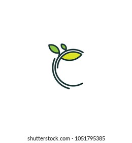 Tree logo, vector logo template