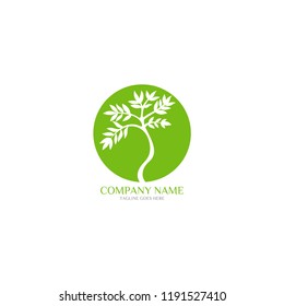 Tree logo vector template