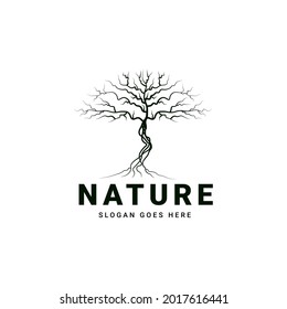 tree logo without leaves, inspired by autumn trees